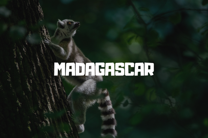 Protected: Madagáscar 🇲🇬 Jul’27