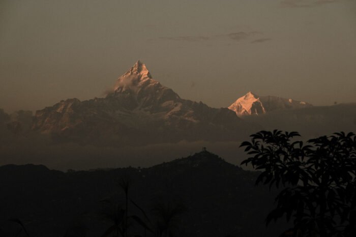 Himalayas & Jungle: A Nepalese Odyssey