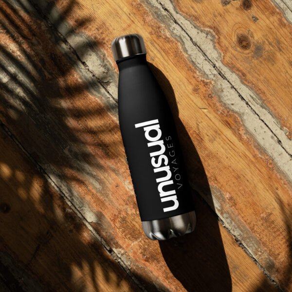 Stainless steel water bottle (black)